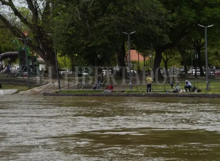 Vista de la costa de Corrientes con el río Paraná crecido