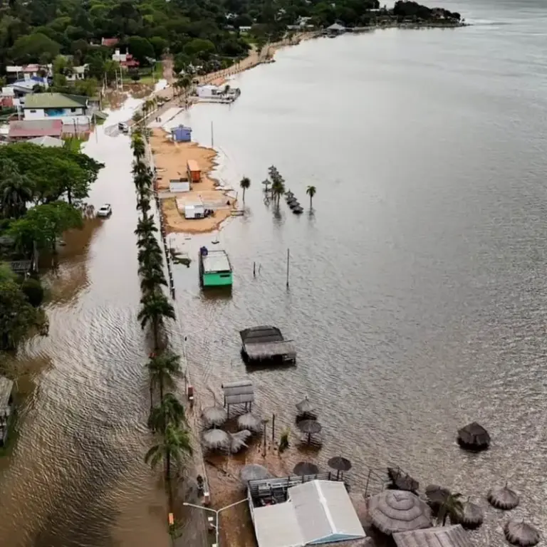Vista del río Paraná en la costa de Corrientes con zonas anegadas