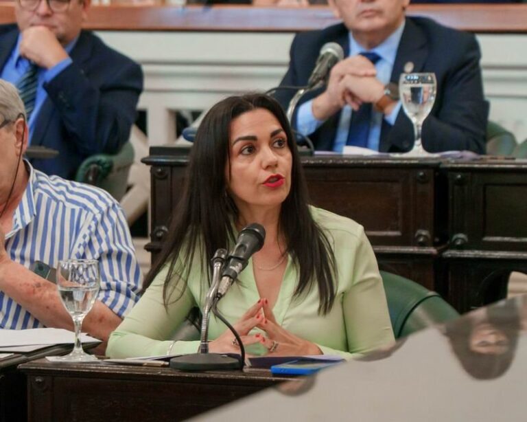 Legislatura de Corrientes durante el análisis del proyecto de ley de digitalización del sistema de salud