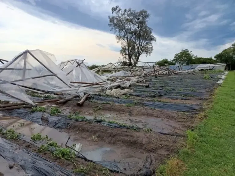 Granizo y vientos fuertes durante un temporal en el sur de Corrientes